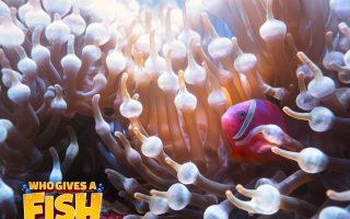 Bubble-Tip-Anemone-And-Clownfish-320x200 The African Water Fern